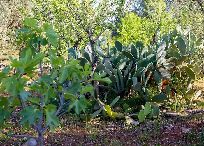 Feriehus Dimora Il Fico D'india Ostuni