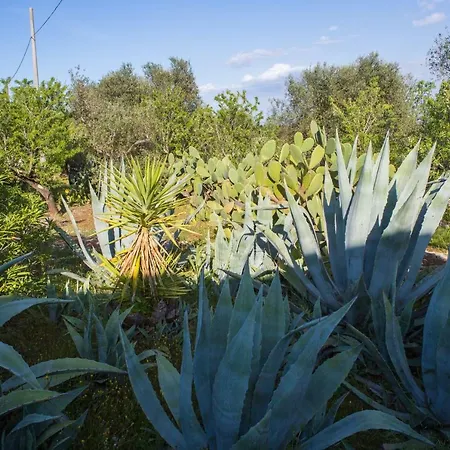 Dimora Il Fico D'india *